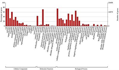 Transcriptome Profiling of Pacu (Piaractus mesopotamicus) Challenged With Pathogenic Aeromonas hydrophila: Inference on Immune Gene Response